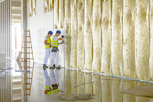 Best Eco-Friendly Insulation in Clay City, KY